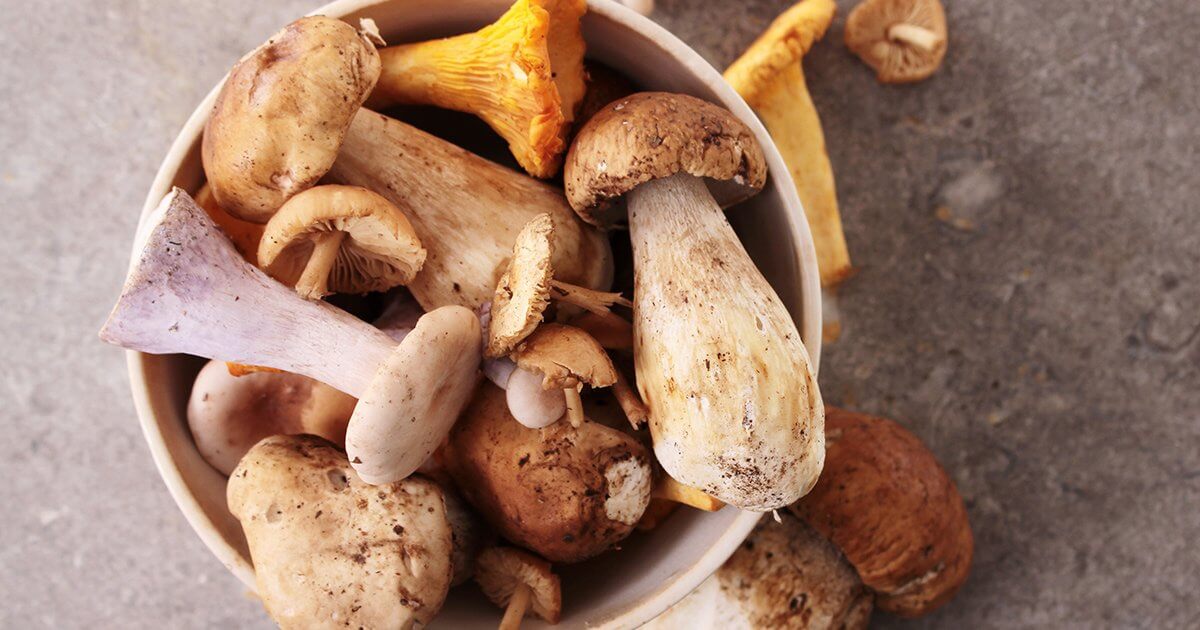 Mushrooms_blog_fb